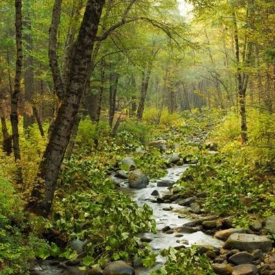 火狐体育APP手机app下载