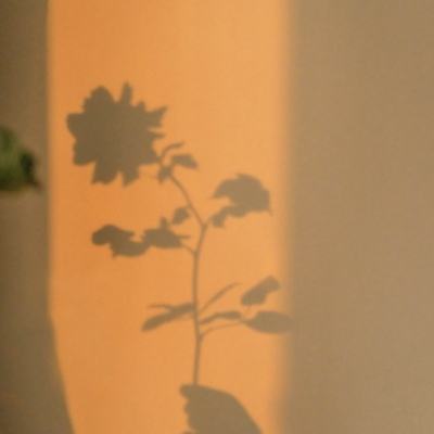 pg娱乐电子游戏官网