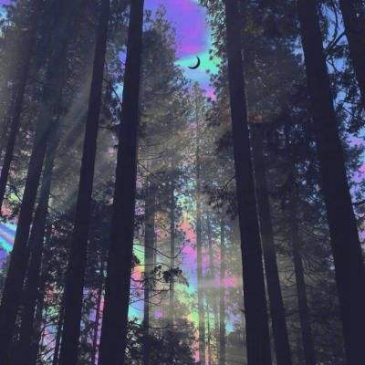 域网棋牌手机app下载