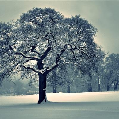 威尼斯澳门人下载手机版